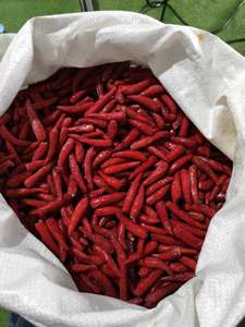 Piment rouge entier surgelé IQF de qualité supérieure, naturel, très piquant, qualité alimentaire, fournisseur Vietnamien - Product Image 6