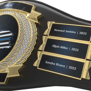 Cinturón de Campeonato Internacional Ronpex de Alta Calidad Personalizable para Boxeo y Lucha Libre, Material de Latón, Zinc y Cuero, Unisex - Product Image 6