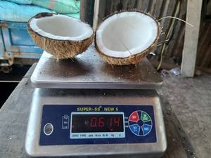 Noix de coco brune vieillie de qualité export (noix de coco mûre entièrement décortiquée) Ben Tre Vietnam, taille uniforme, 100% naturelle, durée de conservation de 2 à 3 mois - Product Image 1
