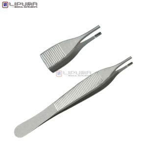 Kit d'extraction dentaire professionnel 12 pièces pour petits animaux – Ensemble de forceps et élévateurs manuels pour vétérinaires et médecins vétérinaires - Product Image 3