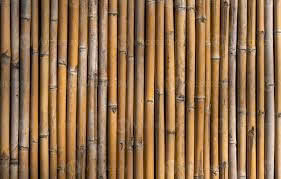 Valla de Bambú Natural de Vietnam para Jardín Exterior, Postes de Bambú Verdes - Product Image 2