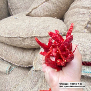 Piment rouge séché du Vietnam de qualité supérieure, sans tige, très piquant, épice alimentaire délicieuse, emballé en vrac pour exportateurs - Product Image 6