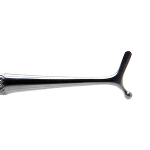 Pulidor Dental Premium, Instrumento Dental Clínico, Venta al por Mayor de Fábrica, Pulidor Dental de Acero Inoxidable Médico - Product Image 2
