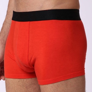 Professional <b>Boxing</b> Underwear For Men 2026 Best Design Sports Compression Shorts For <b>Training</b> Wear Compression Underwear - Product Image 6
