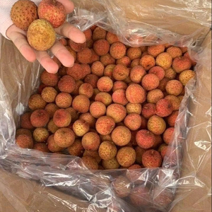 Lychees en conserve sains sans conservateurs, meilleur prix pour une collation nutritive - Product Image 2