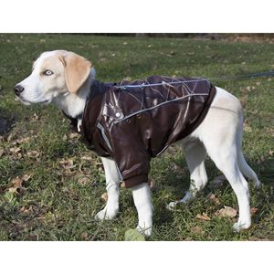 Cappotto per animali domestici in pelle scamosciata alla moda Wuff-Rider con dettagli cuciti eleganti vestiti per animali domestici - Product Image 6