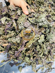 เครื่องดื่มสมุนไพรระดับพรีเมี่ยมจากใบงาแห้งจากเวียดนาม shiso perilla frutescens Tea - Product Image 4