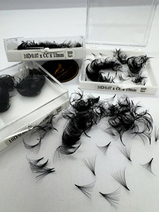 Wholesale 10D 0.07 13mm Premade <b>Volume</b> Fans Eyelash Extensions 500 Fans Korean PBT Cashmere Matte Black C CC D Curl Easy Fan - Product Image 2
