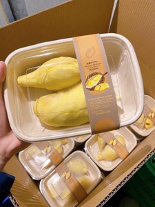 Pulpa de Durian Congelada IQF Premium de Vietnam, Suministro a Granel con Marca Privada OEM - Product Image 2