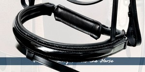 Brida Ecuestre Premium Brillante para Caballo - Product Image 5