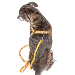 Guinzaglio e Pettorina per Cani 2-in-1 Regolabili con Cuciture Riflettenti, Pettorine a Tensione Facile per Animali Domestici - Product Image 2