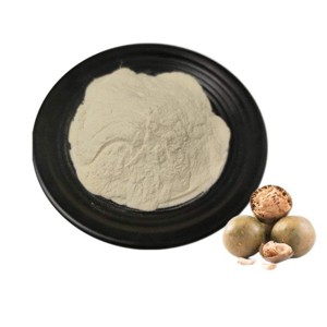 Extracto de Fruta del Monje de Marca Privada 10:1, Polvo de Extracto Natural de Luo Han Guo para Productos Alimenticios y Bebidas Endulzantes - Product Image 2