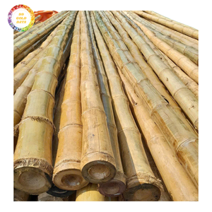 Bâtons de bambou pour structures extérieures, aménagement paysager et projets créatifs, disponibles en différentes tailles - Product Image 1