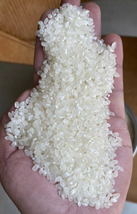 Arroz Japonés Premium para Sushi (Sin Pesticidas), Empaquetado en 5 LB - 25 LBS, Venta al por Menor y al por Mayor a Precios Competitivos (Joice) - Product Image 4