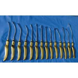 Juego de Instrumentos Quirúrgicos Dentales de Acero Inoxidable de Alta Calidad Salaar Industry Clase II Reutilizables para Lifting Facial Endoscópico, Manuales, con Certificación CE - Product Image 4