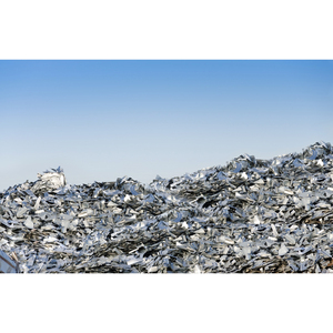 Heavy Melting Shredded Steel <b>Scrap</b> Recyclable Ferrous <b>Scrap</b> For <b>Metal</b> Processing And Production Industries - Product Image 3