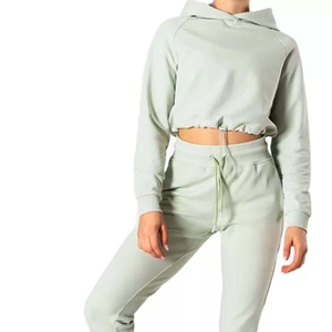 Hoodies courts pour femmes, doublés, à logo frontal, en molleton 100% coton, pour l'hiver, style décontracté, fabrication usine, service OEM personnalisé, prix abordable - Product Image 4