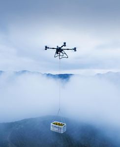 Oferta Especial: Dron DJ Agres T100 con Control de Vuelo Estándar y Módulo GPS Dual para Agricultura UAV, Comparado con el Dron Pulverizador T50 T70 - Product Image 4