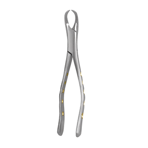 Pinzas de Extracción Dentales Americanas # 23 Palas de Extracción de Dientes de Acero Inoxidable con Mango de Pitón Hueco Dorado, Manuales, Certificadas CE - Product Image 3