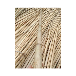 Meilleures ventes : Poteaux en bambou naturel pour la construction et l'artisanat - Product Image 4