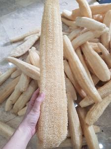 Luffa naturelle 40-45cm, cultivée en ferme au Vietnam, biologique, entière, grandes tailles, sans produits chimiques, pour le bain et la cuisine, luffa du Vietnam - Product Image 5