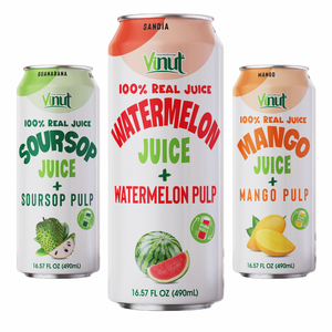 Jus de fruits aux saveurs variées avec pulpe 490ml Sans sucre OEM ODM Fabricant de boissons sous marque privée - Product Image 1