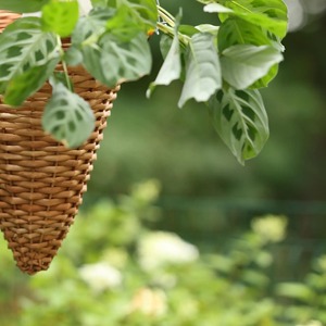 Panier suspendu en rotin naturel en forme de cône, parfait pour la présentation de pots de fleurs, décoration de plantes intérieures et extérieures, tissé à la main en Inde - Product Image 6