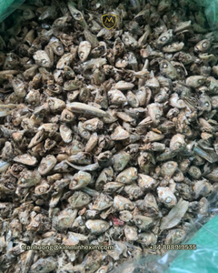 ปลาแอนโชวี่แห้งคุณภาพพรีเมียม อาหารโปรตีนธรรมชาติสำหรับสุกรและม้า อายุการเก็บรักษา 12 เดือน จากเวียดนาม - Product Image 5