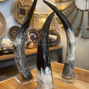 Cuerno de buey africano ecológico de alta calidad, cuerno de búfalo Real para boda, decoración de Navidad, innovador estilo siguiente India FWE - Product Image 3