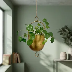 Pot suspendu en métal doré avec anneau circulaire, design moderne, pour plantes d'intérieur, décoration contemporaine pour la maison - Product Image 6