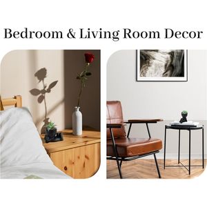 Set di 2 Piante Succulente Artificiali Nere per Decorazione Estetica da Interni, per Scrivania Ufficio, Casa, Stanza, Bagno, Vasi e Fioriere - Product Image 3