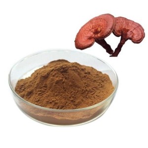 Suministro a Granel de Extracto de Hongo Reishi 100% Puro 10:1, Polvo de Ganoderma Lucidum Premium para Alimentos y Bebidas Funcionales y Suplementos - Product Image 1