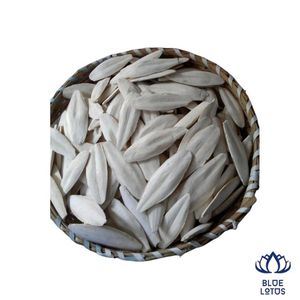 BEST SELLING Os de Seiche Riche en Calcium, Écologique, en Gros pour Oiseaux et Reptiles - Product Image 1
