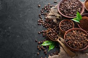 Café Robusta Vietnamita Premium, Tostado y Molido, Certificado ISO 22000, Grado A A+, Alta Calidad, Exportación al por Mayor - Product Image 5