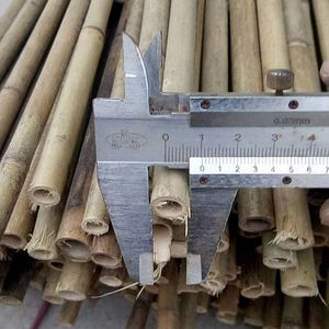 Bambú Natural de Vietnam: Cañas de Bambú para Jardinería y Agricultura - Product Image 1