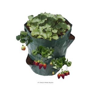 Sac de culture vertical en tissu HDPE de haute qualité pour fraises, 8 poches, 36x46cm, réutilisable - Product Image 3