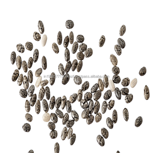 Premium Grade Bulk <b>Packaged</b> Black & White Chia <b>Seeds</b> Cleaned & Dried for Export for Baking & Superfood Recipes - Product Image 6