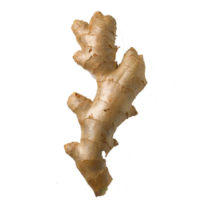 Jengibre maduro en oferta/semillas de jengibre - Product Image 5