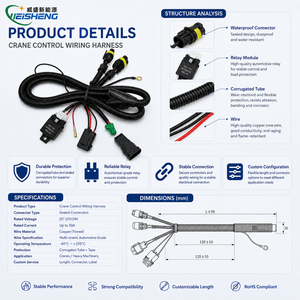 Rangkaian Kabel Kontrol Crane Khusus, Kabel Relay Sensor Tugas Berat, Perakitan OEM - Product Image 3