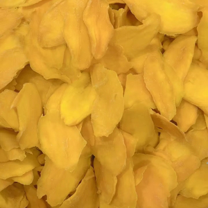 มะม่วงอบแห้งออร์แกนิก สดใหม่จากเขตร้อน/มะม่วงอบแห้งแบบแผ่น - จำหน่ายส่งสำหรับตลาดโลก - Product Image 2