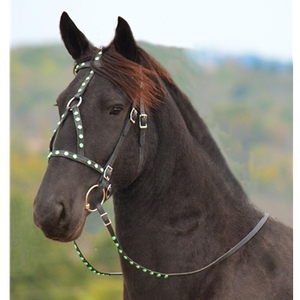 Têtière en cuir noir avec clous verts, réglable, pour l'équitation - Product Image 1