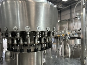 Máquina Automática de Llenado de Bebidas de 150 BPM con Control PLC, Ahorro de Energía, para Botellas PET de 200 ml, Alta Precisión - Product Image 3