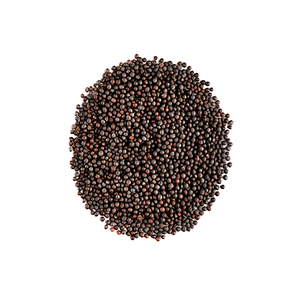 Semillas de Mostaza 100% Puras, Especias Secas Naturales de Primera Calidad para la Industria Alimentaria, Suministro al por Mayor - Product Image 4