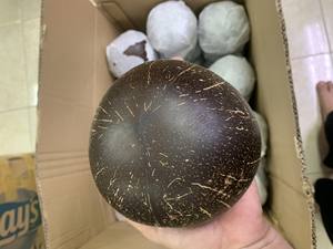 Bol en coquille de noix de coco de la meilleure qualité Bol écologique du Vietnam à des prix abordables - Product Image 5