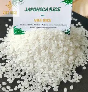 Premium Japonica round-grain white rice that meets export specifications, sourced from a reliable Vietnamese rice factory