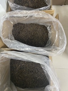 Graines de papaye séchées naturelles en gros pour les applications de l'industrie alimentaire et des épices - Product Image 4