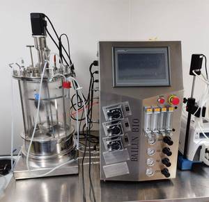 Biorreactor <span class=keywords><strong>de</strong></span> Vidrio <span class=keywords><strong>de</strong></span> 15L-2 Celdas para Fermentación <span class=keywords><strong>de</strong></span> Proteínas con Control Automático, Recipiente a Presión y Motor para Cultivos <span class=keywords><strong>de</strong></span> Suspensión Celular Vegetal - Product Image 3