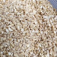 Venta Caliente: Nueces de Anacardo Crudas Premium de Vietnam, Certificación ISO, 2 Años de Vida Útil, Venta al Por Mayor SANTIGO, MOQ Bajo