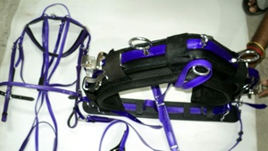 Ensemble de harnais équestre en PVC de qualité supérieure, sangle bleue, finition durable, robuste, avec quincaillerie originale en acier inoxydable et laiton - Product Image 5