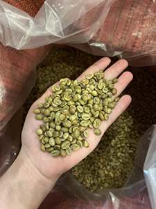 เมล็ดกาแฟโรบัสต้าฮันนี่ ผลผลิตสดใหม่จากเวียดนาม คุณภาพสูง ความเสียหายต่ำ 12.5% ความชื้น กระบวนการธรรมชาติ บรรจุถุง 60 กก. จำหน่ายส่ง - Product Image 4